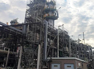 Rexotek Experience 01