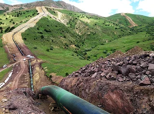 Rexotek Experience 03